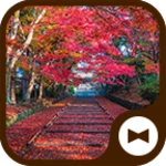 Logo of Autumn Bishamondo android Application 